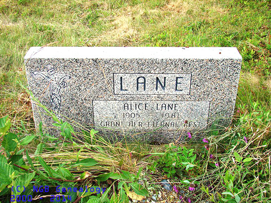 Alice Lane