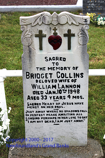 Bridget Collins