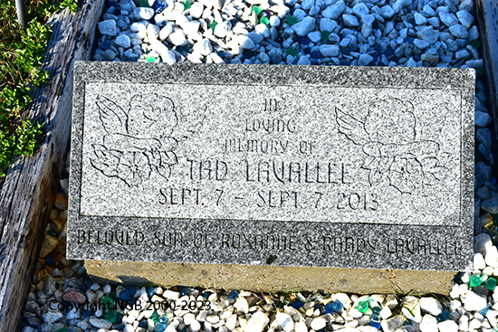 Tad & Taylor Lavallee