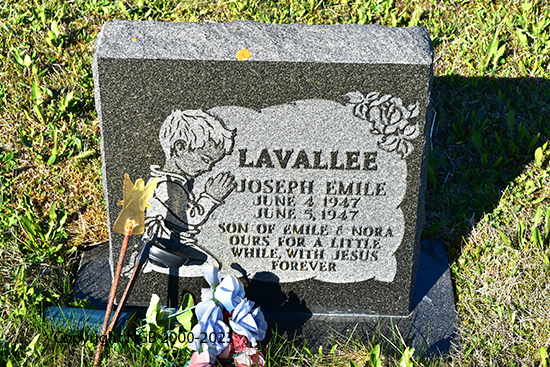 Joseph Emile LaVallee