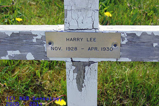 Harry Lee