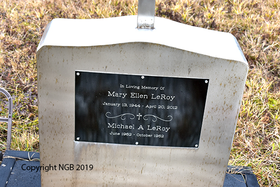 Mary  Ellen & Michael A. LeRoy