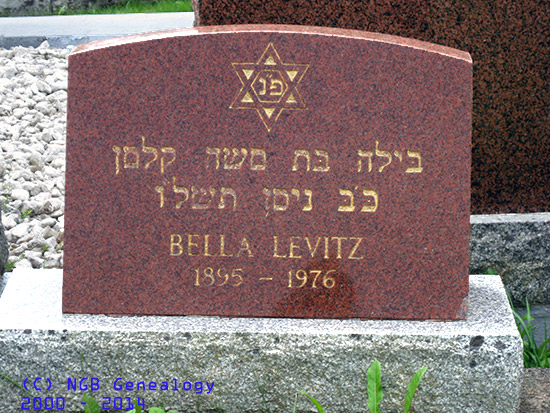 Bella Levitz