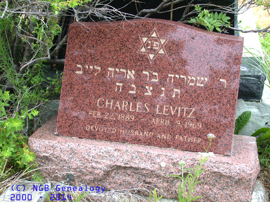 Charles Levitz