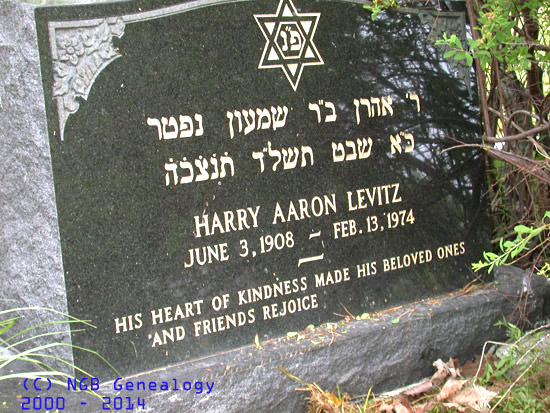 Harry Aaron Levitz