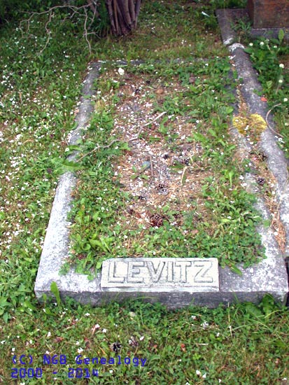 Unknown Levitz