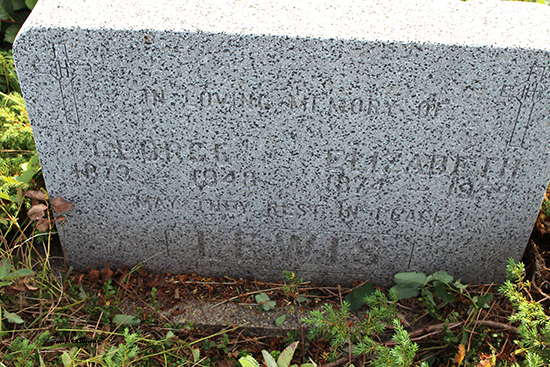 George & Elizabeth Lewis