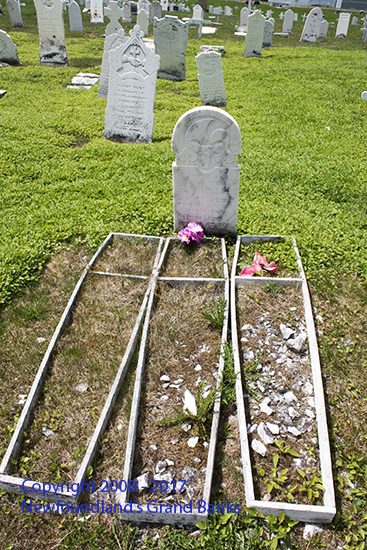 Albert & Ellen Lewis