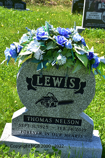 Thomas Nelson Lewis