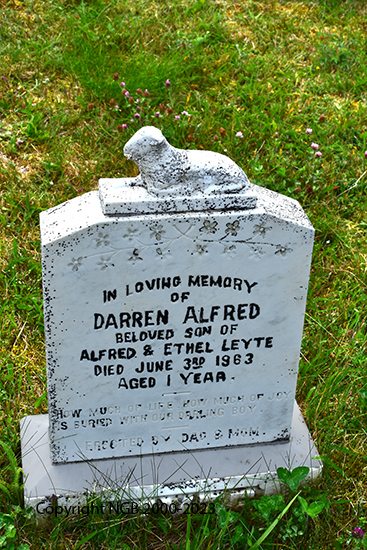 Darren Alfred Leyte