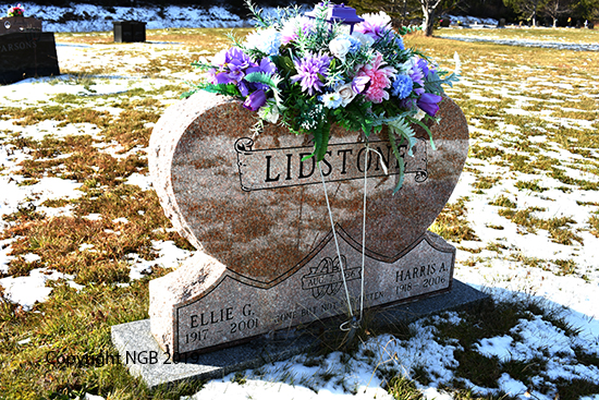 Ellie G, & Harris A. Lidstone