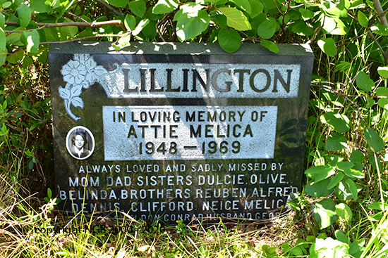 Attie Melica Lillington