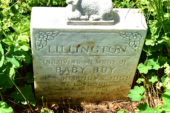 Baby Boy Lillington