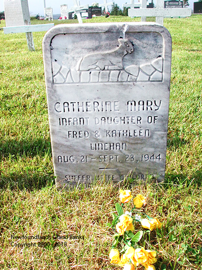 Catherine Mary Linehan