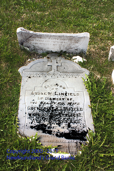 Catherine R. Linfield