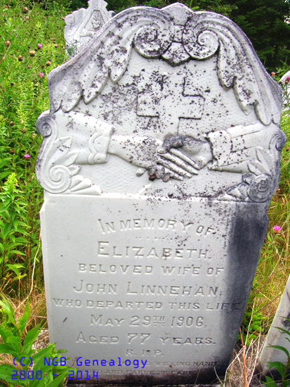 Elizabeth Linnehan
