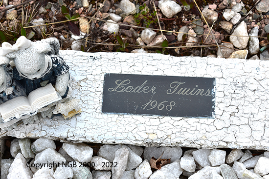 Loder Twins