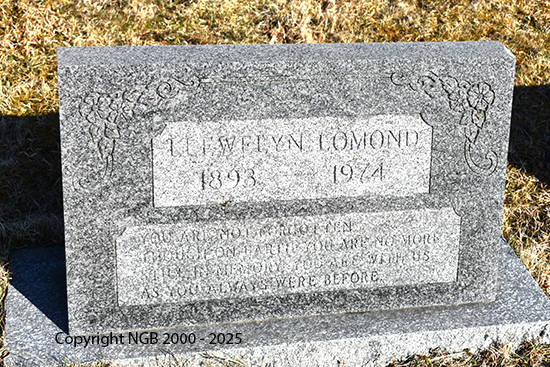 Llewelyn Lomond