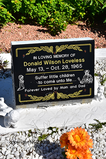 Donald Wilson Loveless