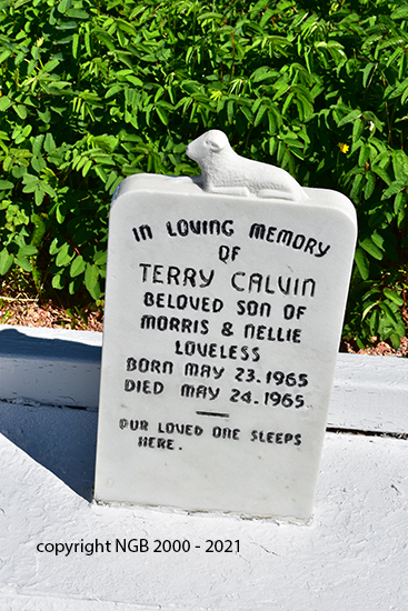 Terry Calvin Loveless