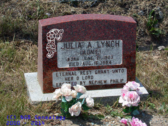Julia A. Lynch