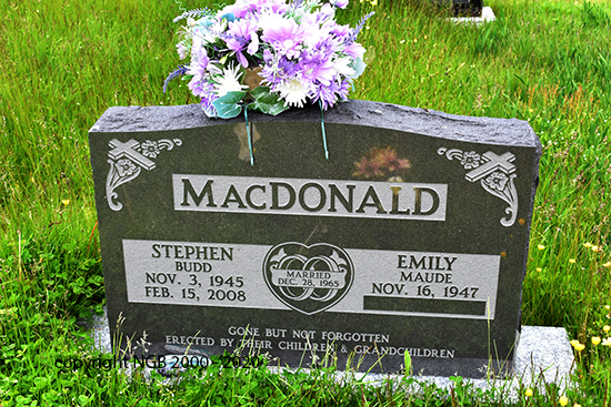 Stephen MacDonald