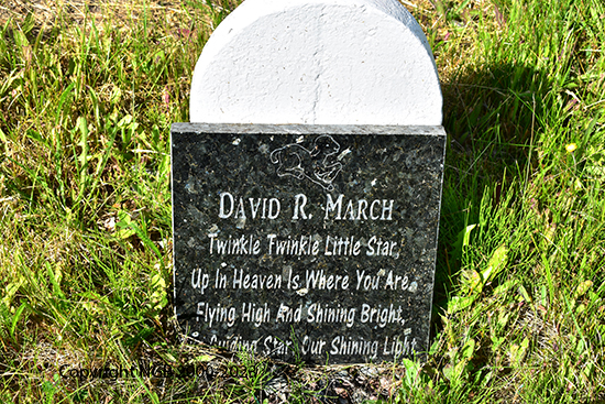 David R. March