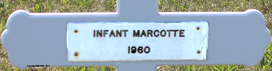 Infant Maecotte