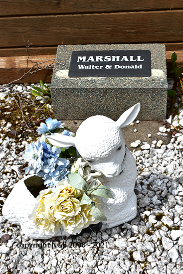 Walter & Donald Marshall