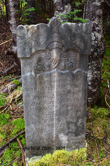 Amos Augustus Martin