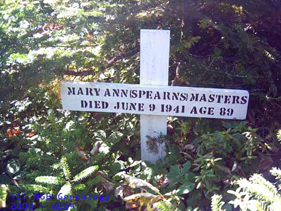 Mary Ann Masters