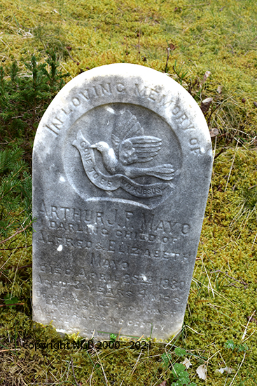 Arthur J F Mayo