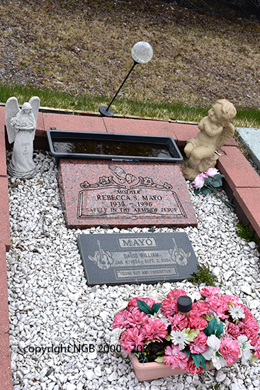David William Mayo