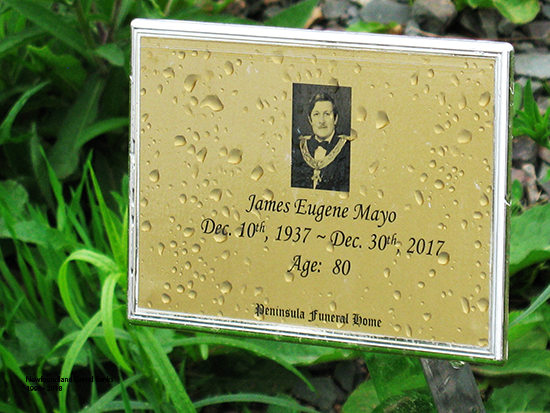 James Eugene Mayo