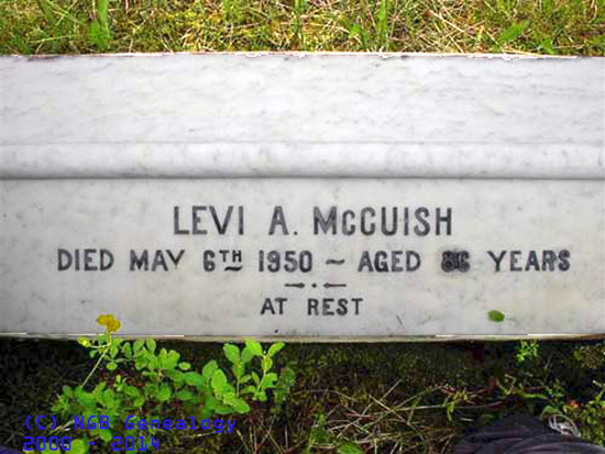 Levi A. McCuish