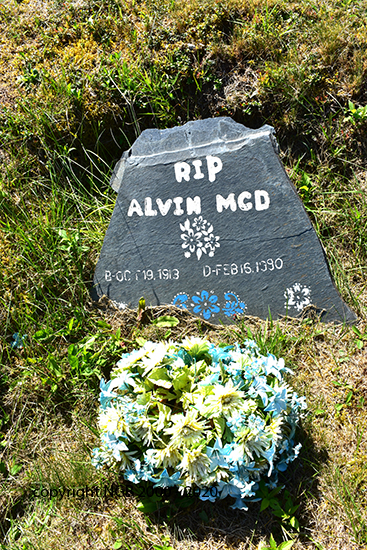 Alvin Mcd