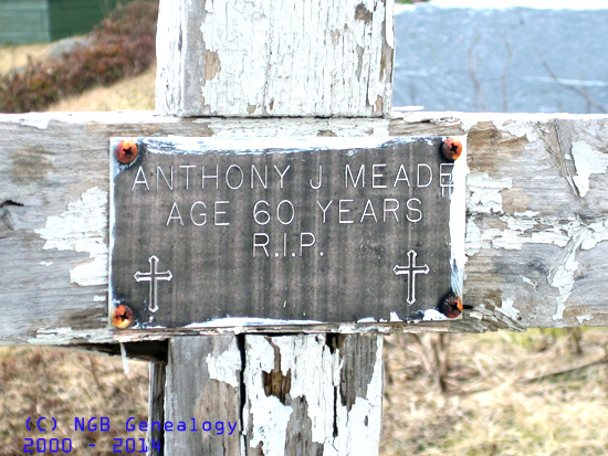 Anthony Meade