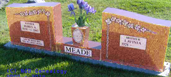 James and Lavinia Meade