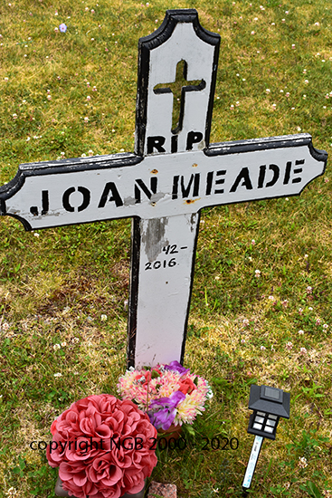 Joan meade