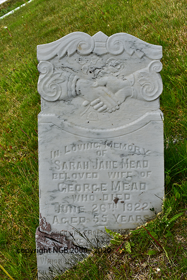 Sarah Jane Meade