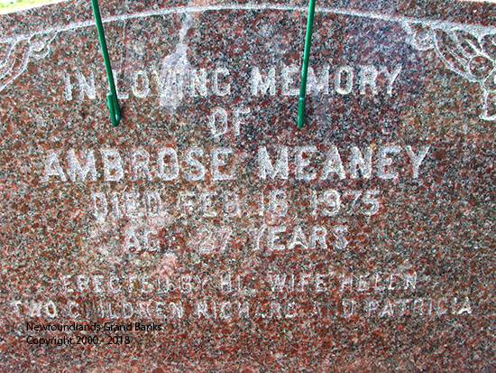 Ambrose Meaney