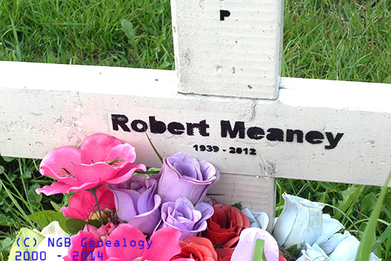 Robert Meaney