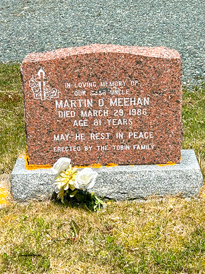 Martin Meehan