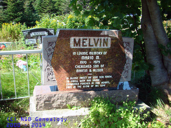 Mario M. Melvin