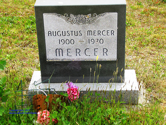 Augustus Mercer