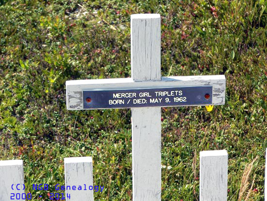 Mercer Triplets