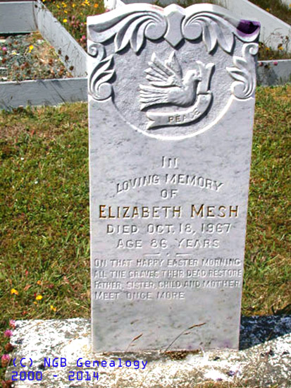 Elizabeth Mesh