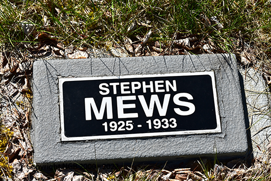 Stephen Mews