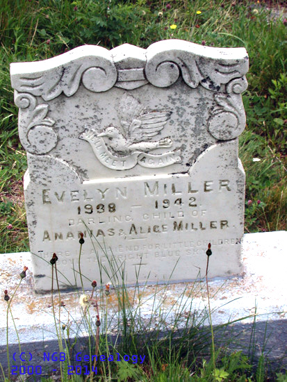 Evelyn Miller