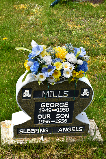 Geworge Mills & Son